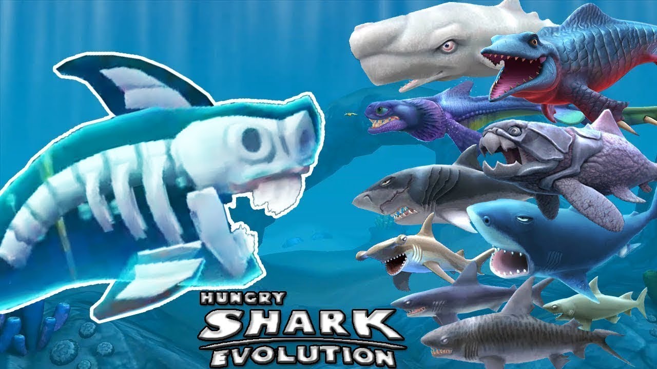 Hungry Shark Evolution