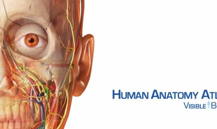 Human Anatomy Atlas