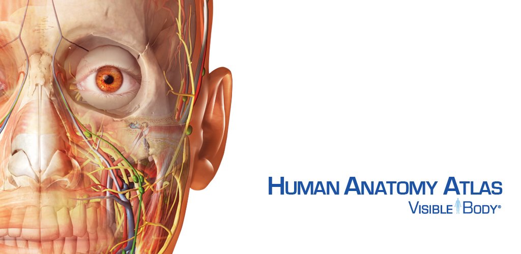 Human Anatomy Atlas