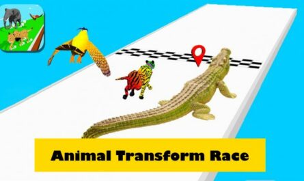 Animal Transform Race