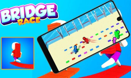 Bridge Race