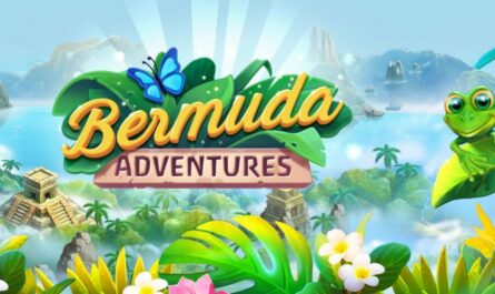 Bermuda Adventures