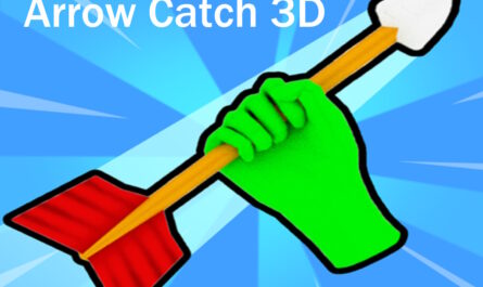 Arrow Catch 3D
