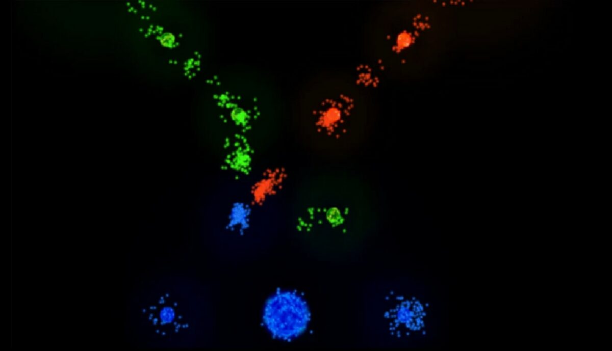 auralux 2 полная версия
